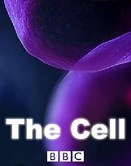 造血干细胞伦理