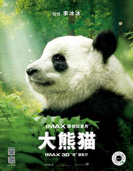 熊猫大赛动漫