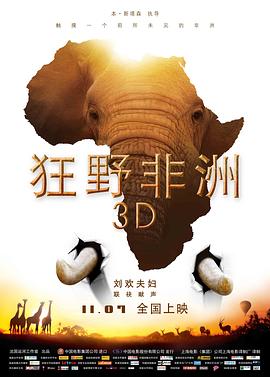 狂野非洲电影完整版