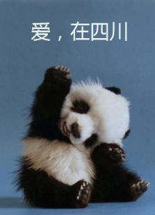 熊猫四川麻将群