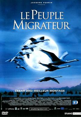 鸭的迁徙电影完整版